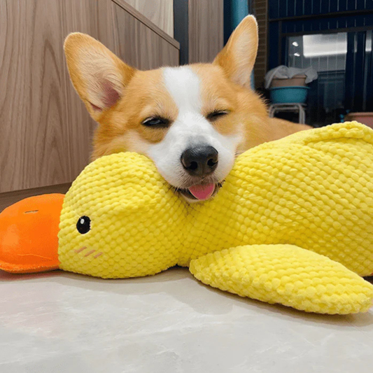 El Juguete Calmante Quacko™ | Reduce Ansiedad y Estrés en Perros