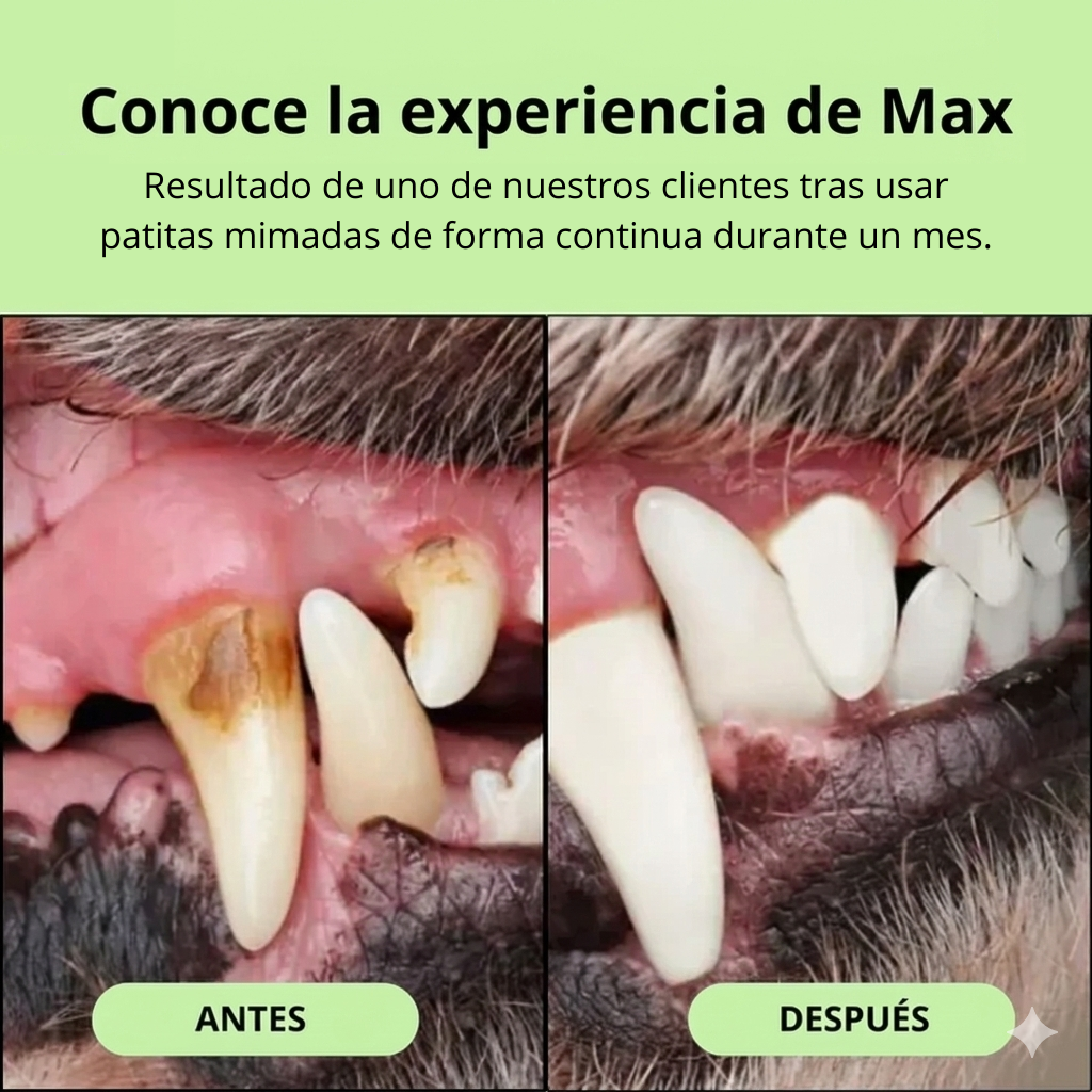 🦷 Cuidá la Salud Dental de tu Perro Sin Cepillos Ni Estrés