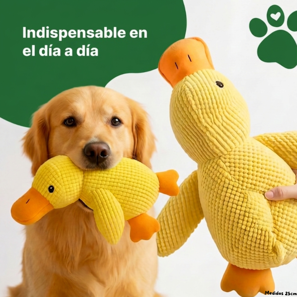 El Juguete Calmante Quacko™ | Reduce Ansiedad y Estrés en Perros