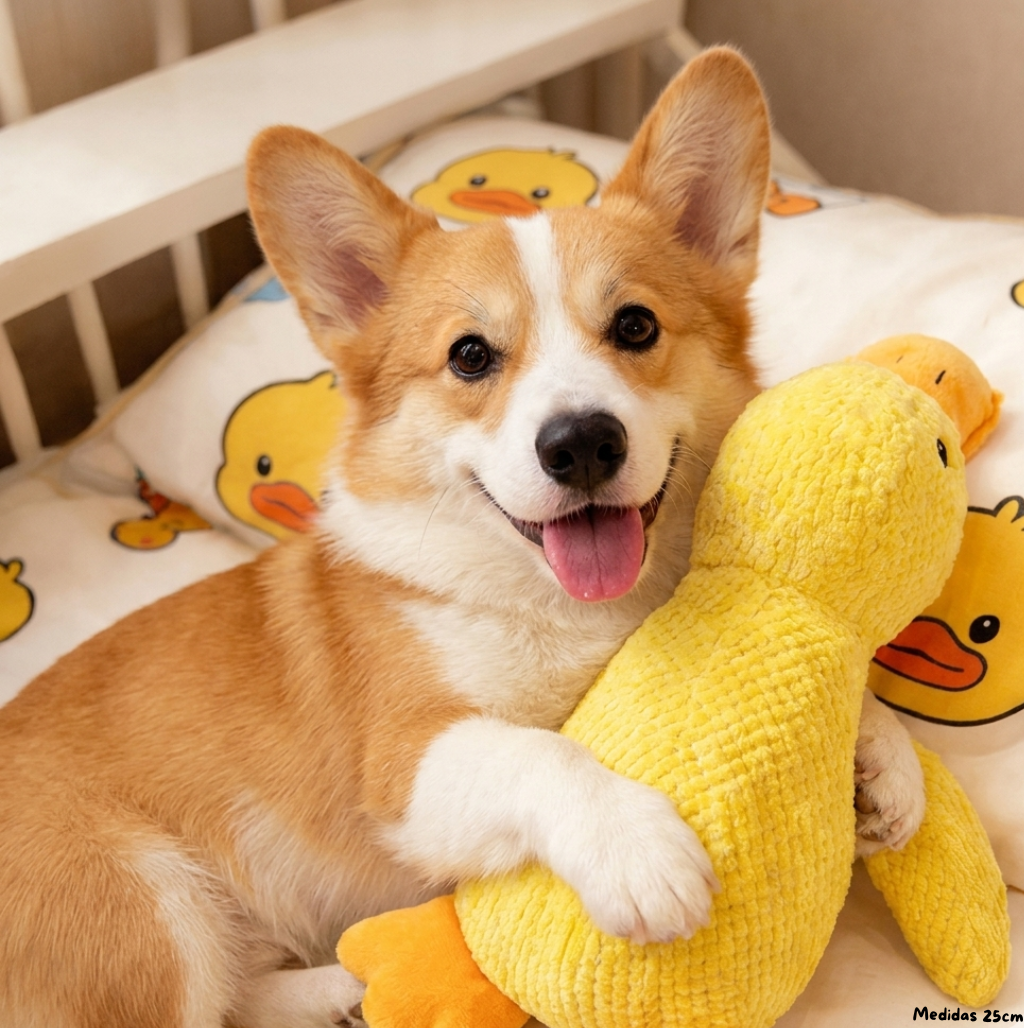 El Juguete Calmante Quacko™ | Reduce Ansiedad y Estrés en Perros