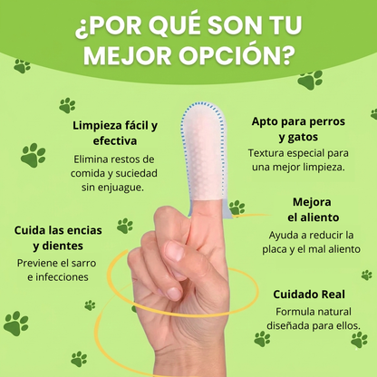 🦷 Cuidá la Salud Dental de tu Perro Sin Cepillos Ni Estrés