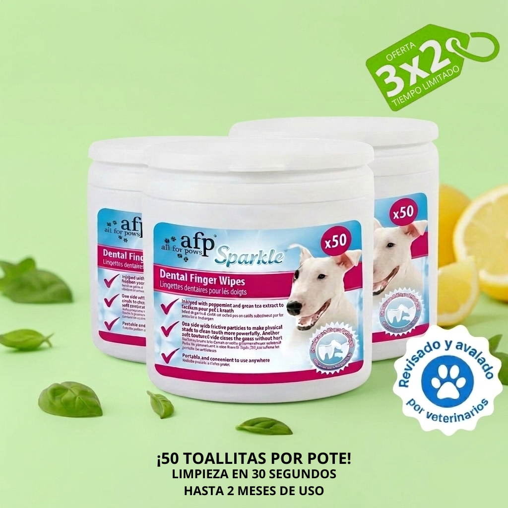 🦷 Cuidá la Salud Dental de tu Perro Sin Cepillos Ni Estrés